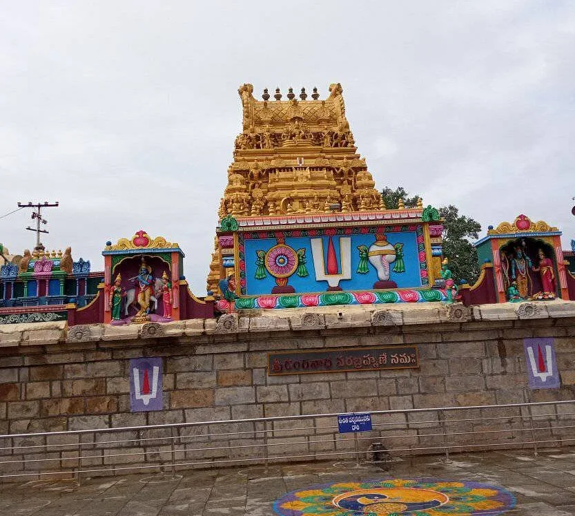 Nellore grows at its own pace