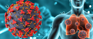 Detects Metal Toxins